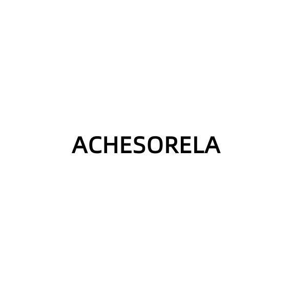 ACHESORELA ELITE Outdoor Quick-Dry Lightweight Men's Crew-Neck T-Shirt